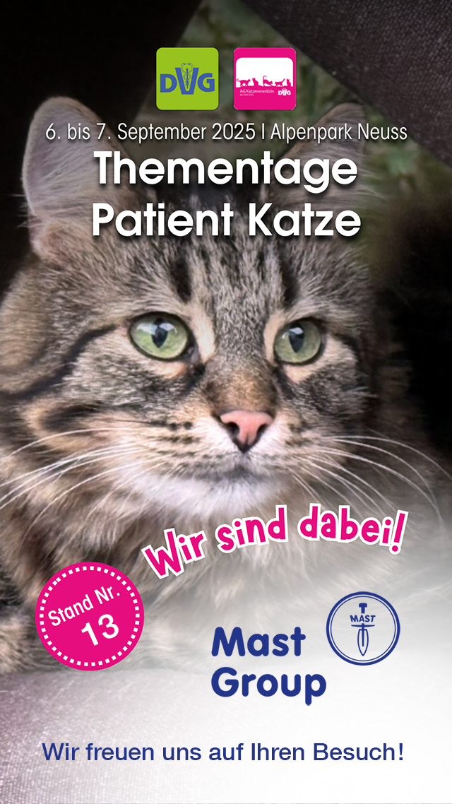 Thementage Patient Katze 2025
